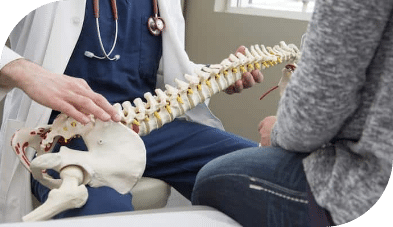 1760653715_spine-model-education-1