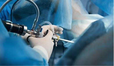 Image-5 Image 5 Home